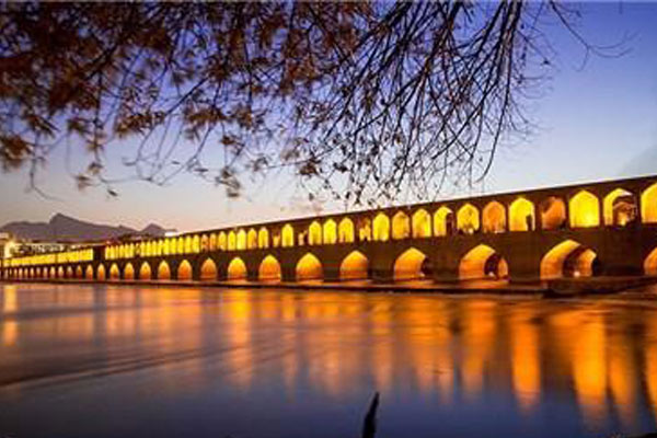 یکی بر سر شاخ و بن می برید